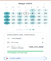 Resumen del período